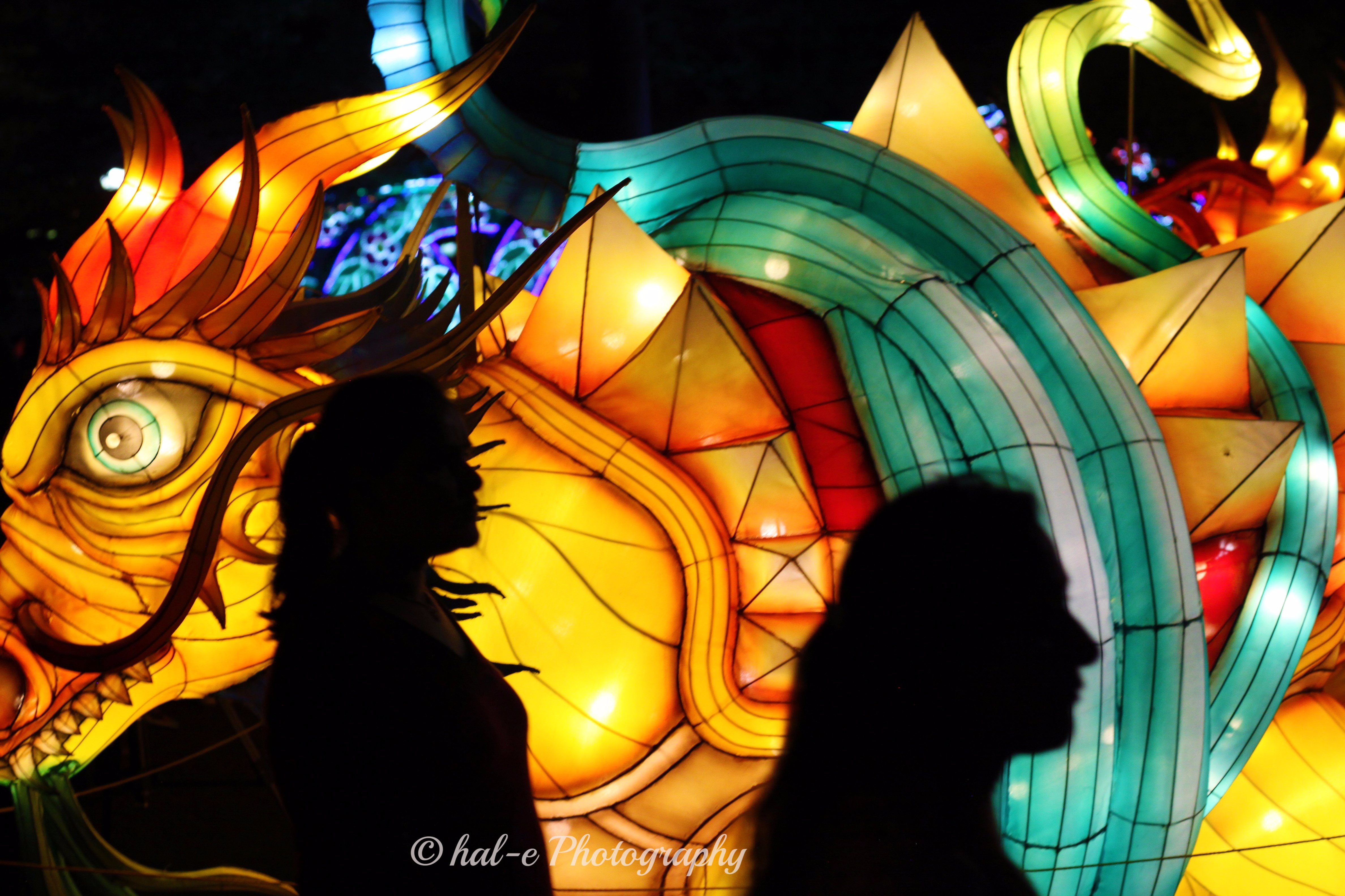 CLF-Easing Past the Dragon-J (2)